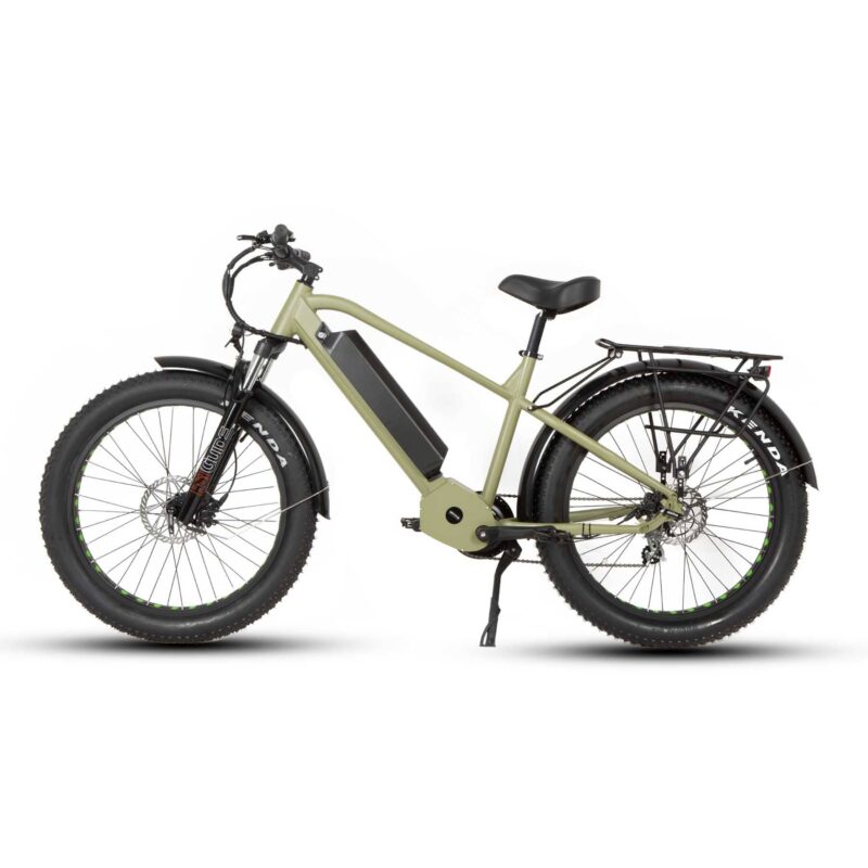 Eunorau FAT-HD Fat Tire Electric Mountain Bike - Image 3